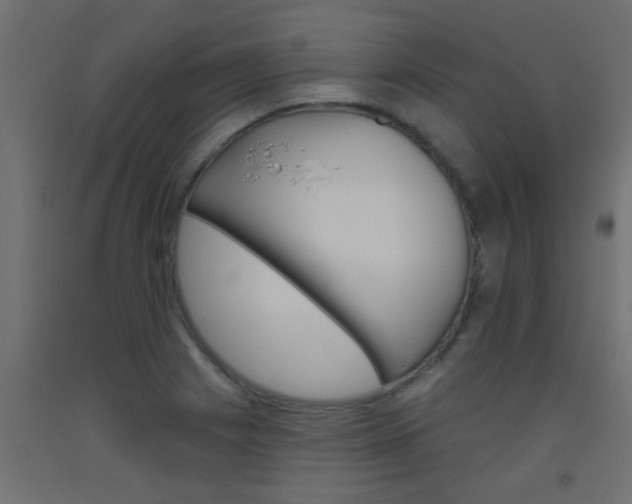 X0000093451225200710120959