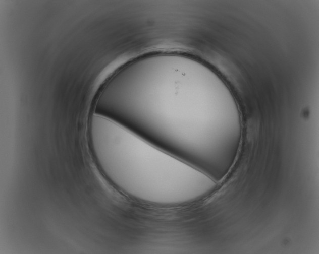 X0000093451229200710120959