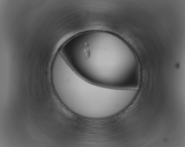 X0000093451230200710120959
