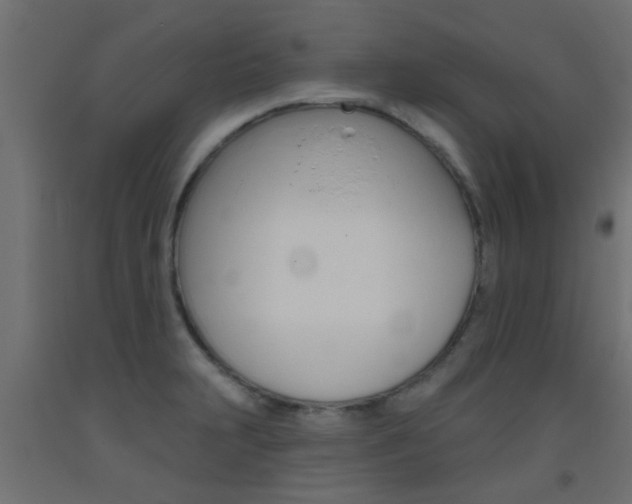X0000093451231200710120959