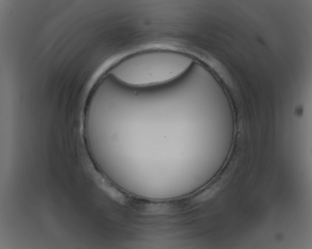 X0000093451232200710120959