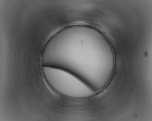 X0000093451233200710120959