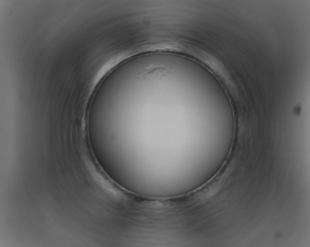 X0000093451234200710120959