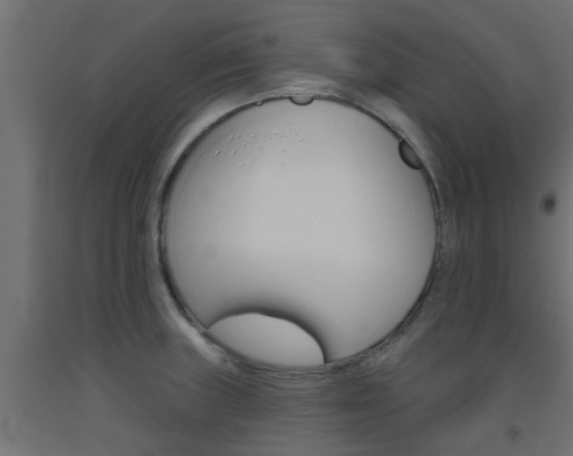 X0000093451235200710120959