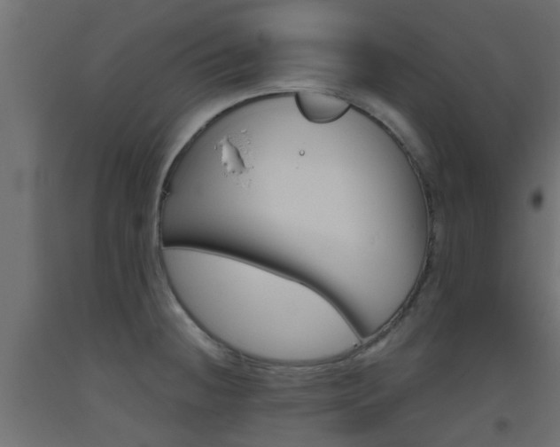 X0000093451236200710120959