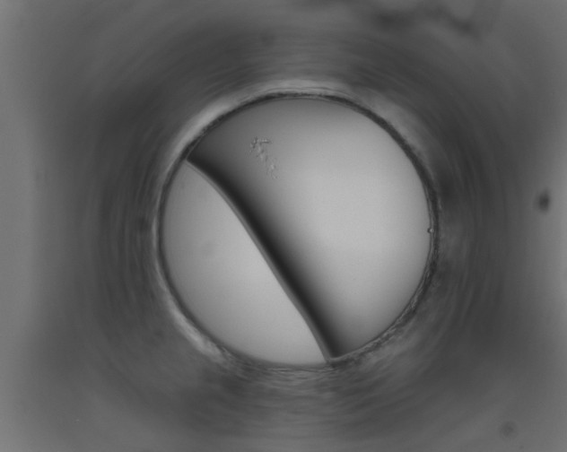 X0000093451237200710120959