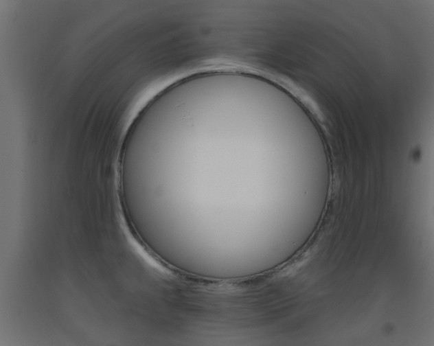 X0000093451239200710120959