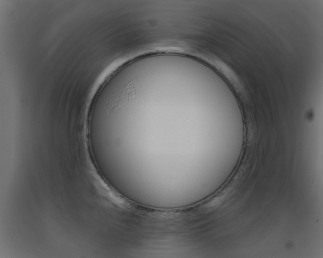 X0000093451240200710120959