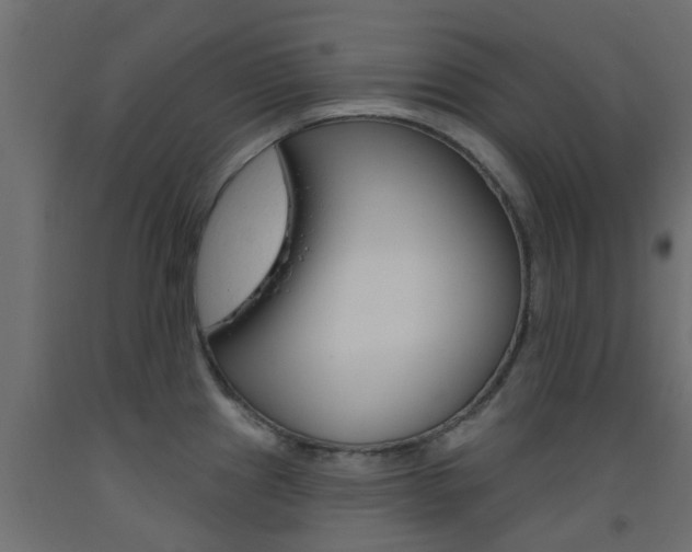 X0000093451241200710120959