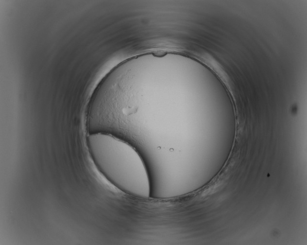 X0000093451243200710120959