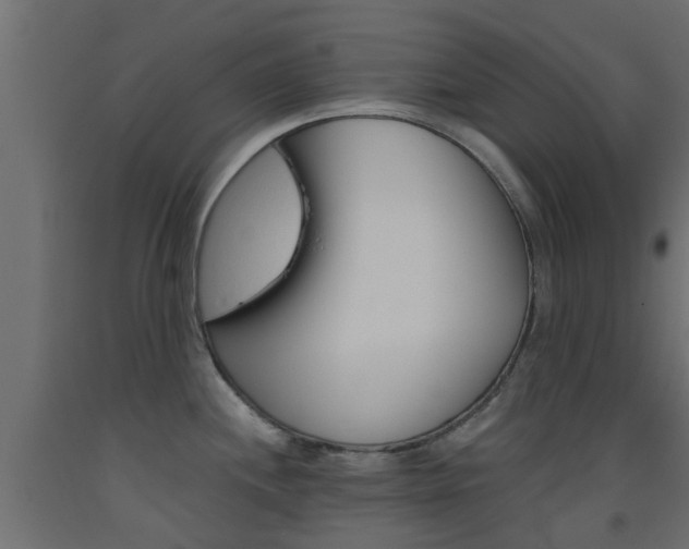 X0000093451244200710120959