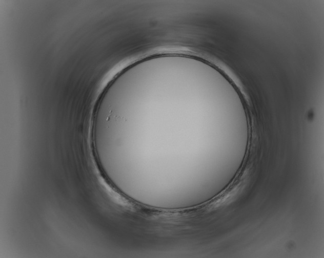 X0000093451245200710120959