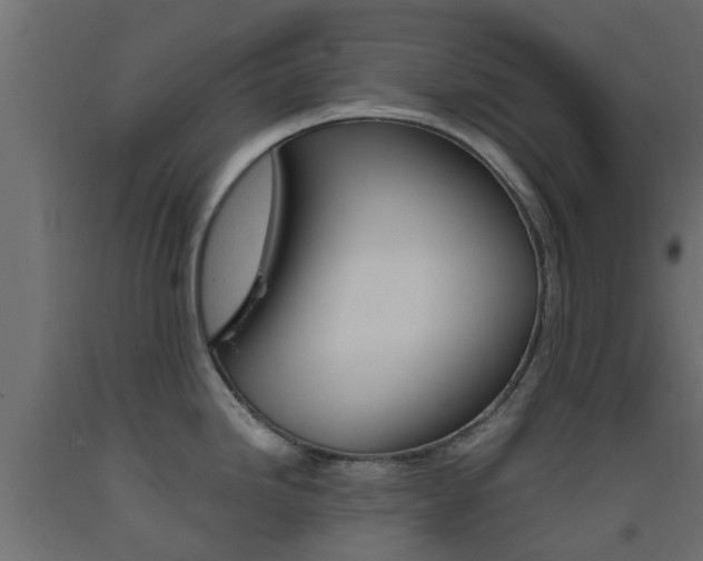 X0000093451246200710120959