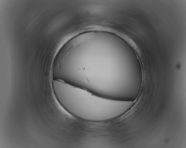 X0000093451247200710120959