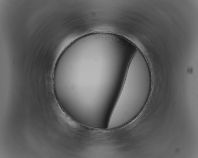 X0000093451248200710120959