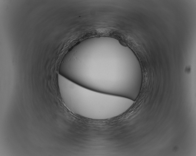 X0000093451249200710120958