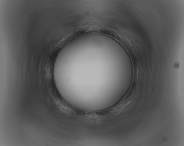 X0000093451250200710120958