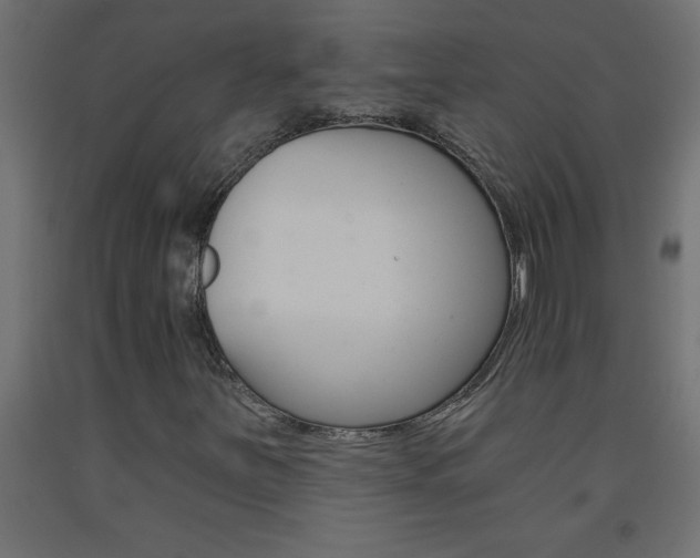 X0000093451251200710120958