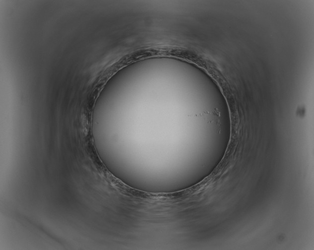X0000093451253200710120958