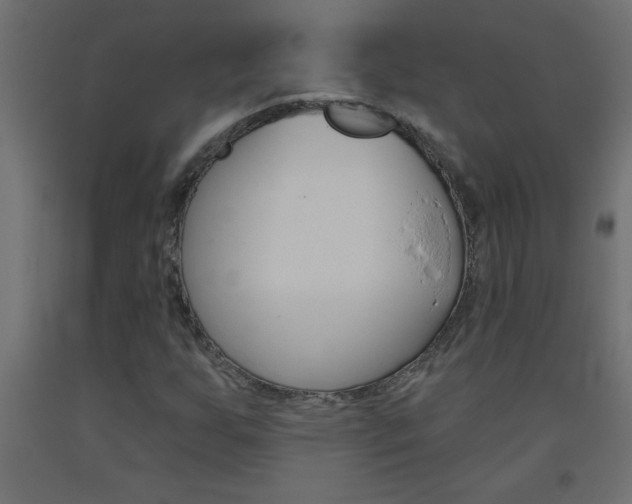X0000093451255200710120958