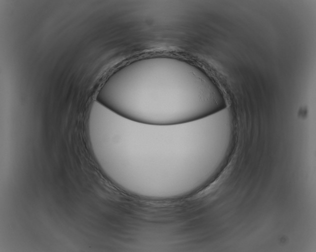 X0000093451257200710120958