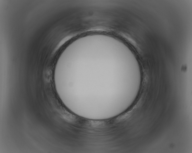 X0000093451258200710120958