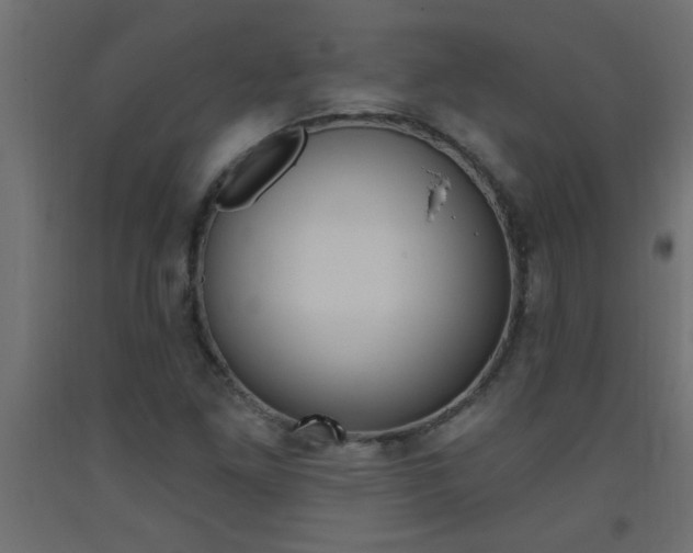 X0000093451261200710120958