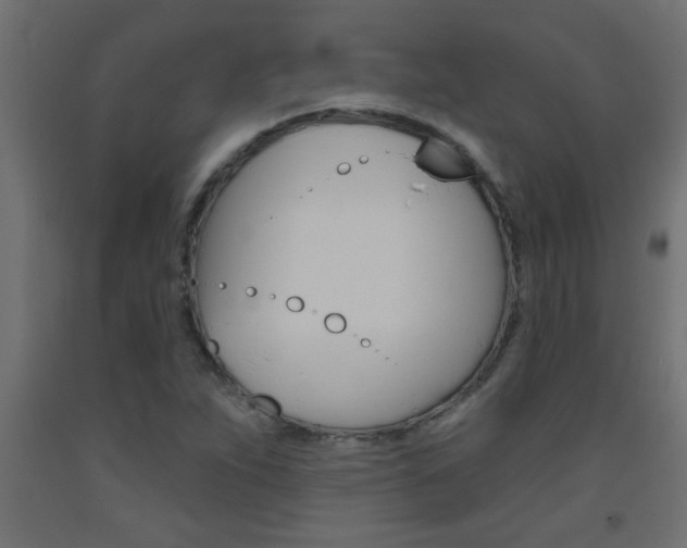 X0000093451263200710120958