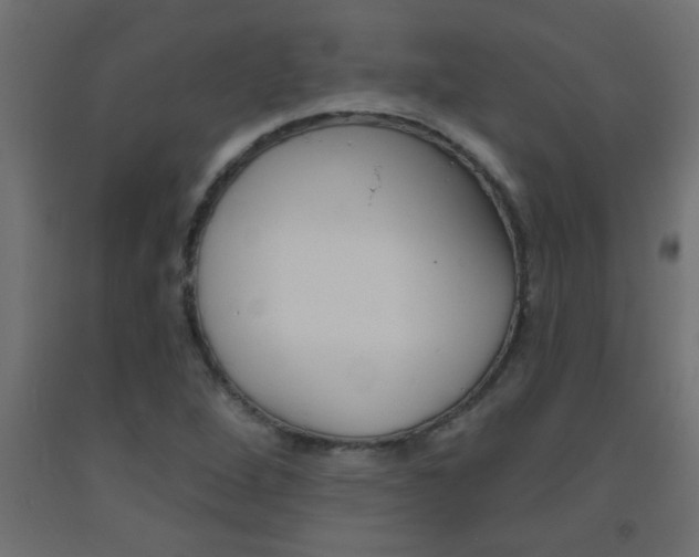 X0000093451264200710120958