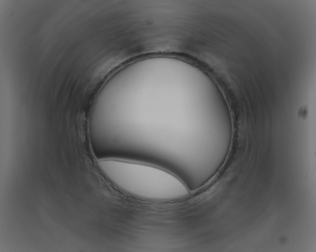 X0000093451265200710120958