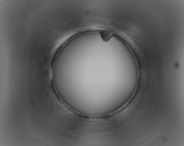 X0000093451269200710120958