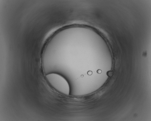 X0000093451271200710120958