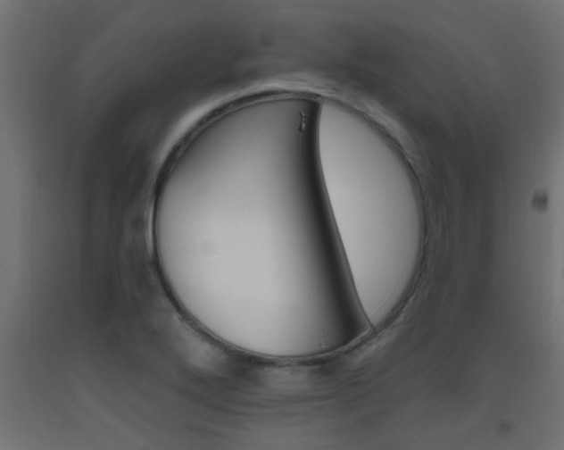 X0000093451272200710120958