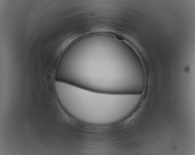 X0000093451273200710120958