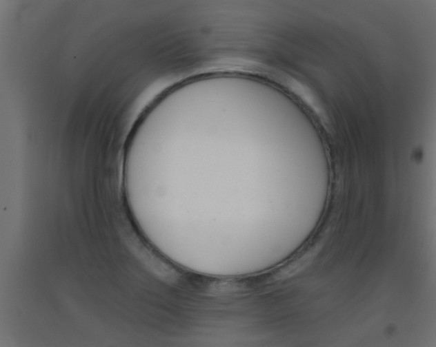 X0000093451275200710120958