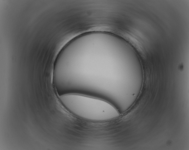 X0000093451276200710120958
