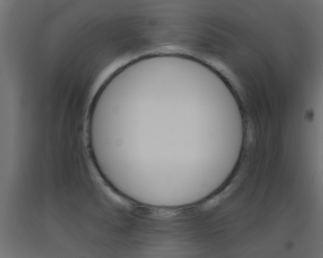 X0000093451278200710120958