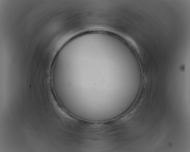 X0000093451279200710120958