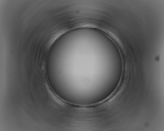 X0000093451281200710120958