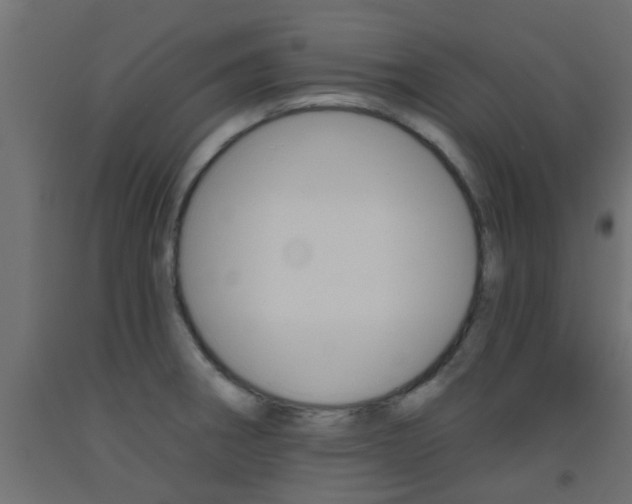 X0000093451282200710120958