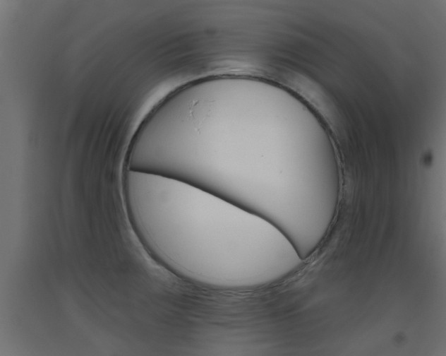 X0000093451283200710120958