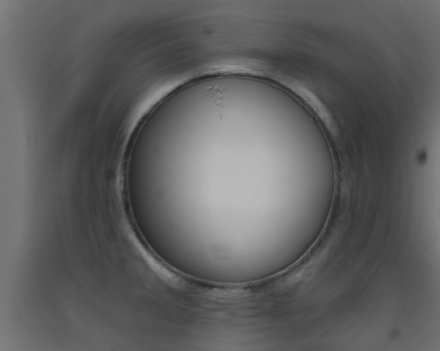 X0000093451285200710120958