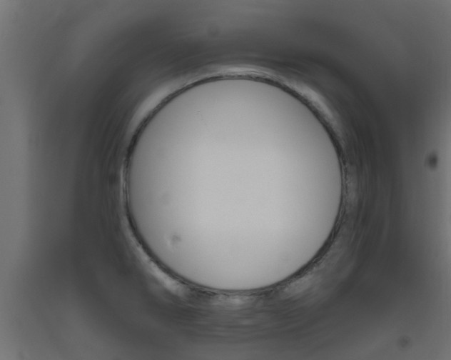 X0000093451286200710120958