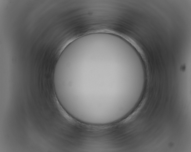 X0000093451289200710120958
