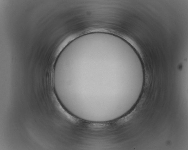 X0000093451290200710120958