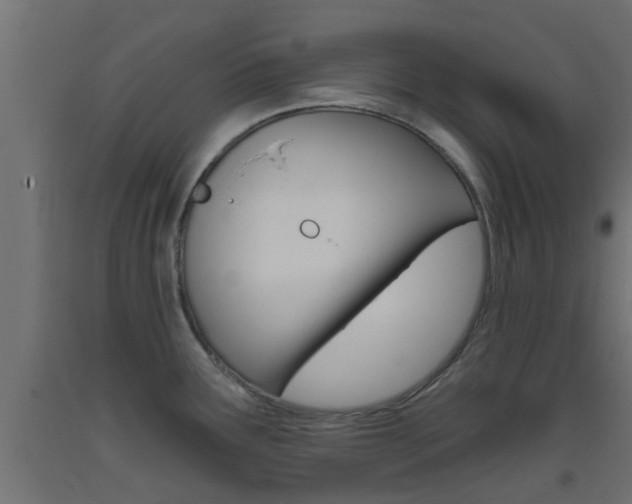 X0000093451291200710120958