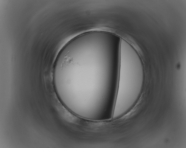 X0000093451292200710120958