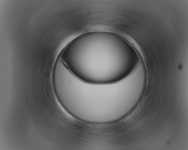 X0000093451293200710120958