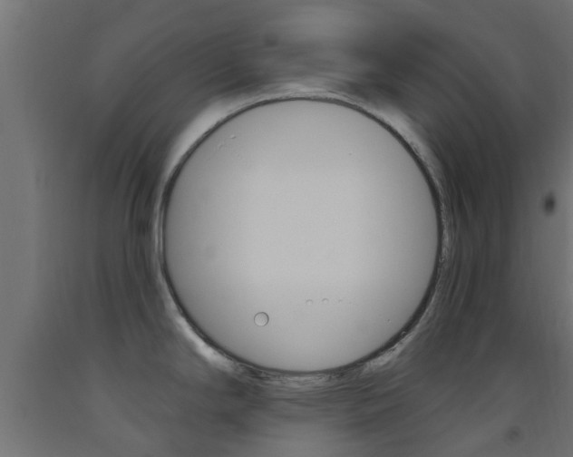 X0000093451294200710120958