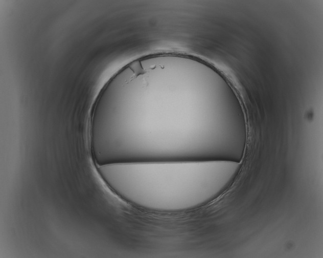X0000093451295200710120958